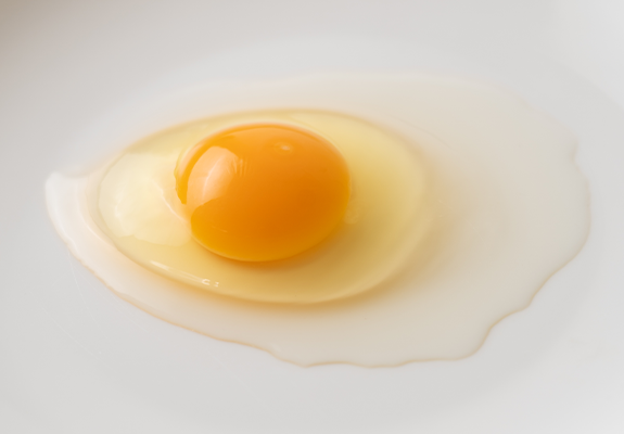 卵黄：白卵