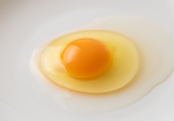 卵黄：赤卵