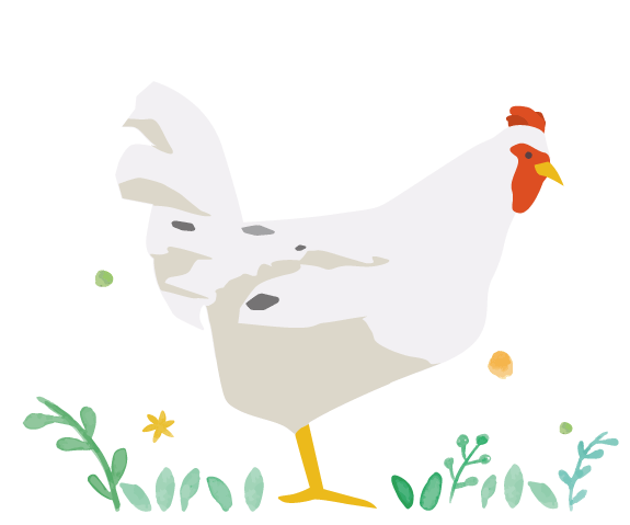 アローカナ